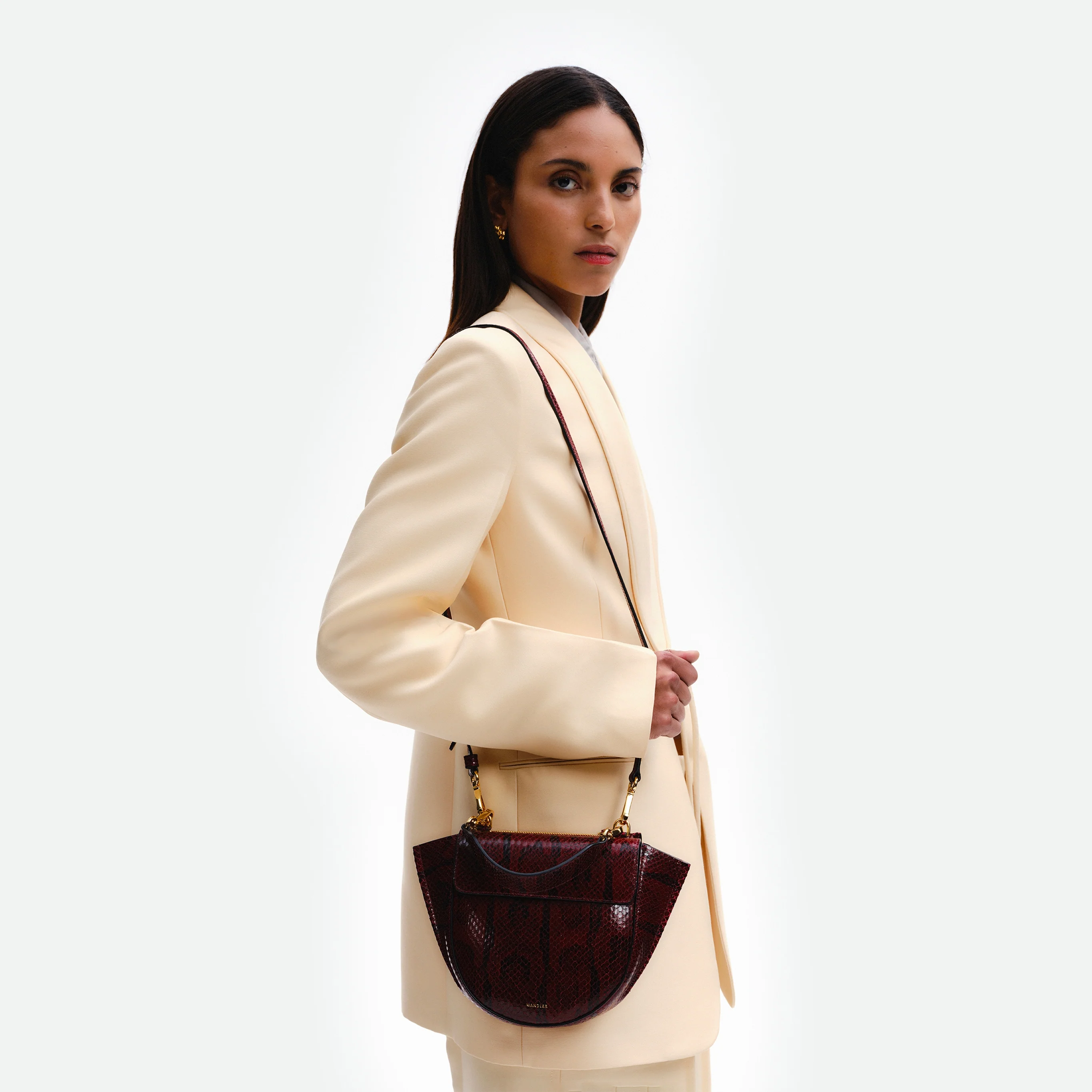 Hortensia Bag Mini - Bordeaux Python - Image 5