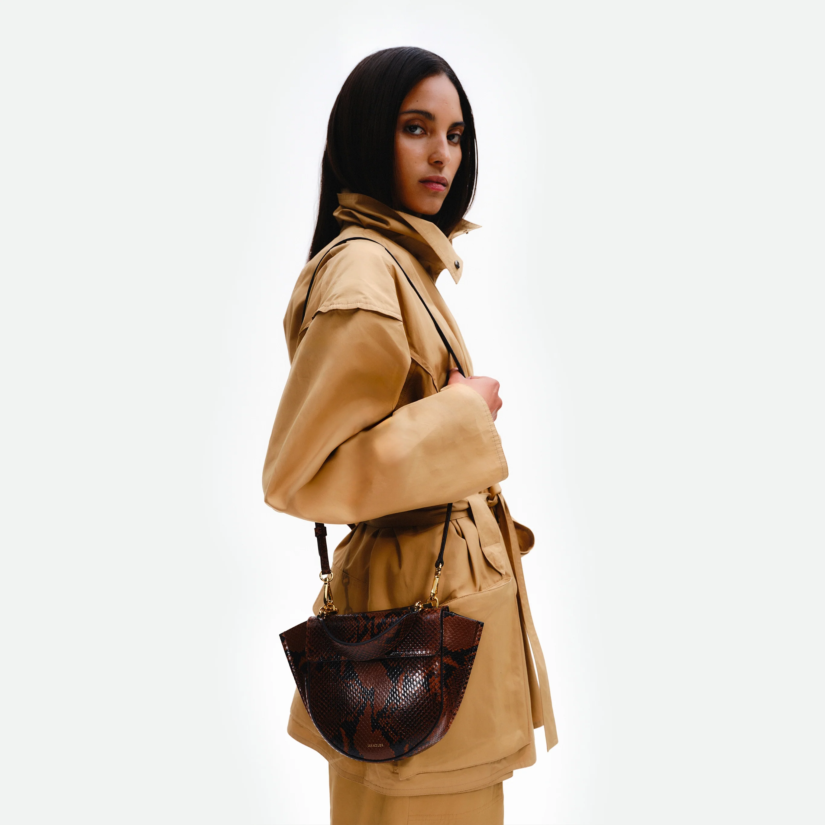 Hortensia Bag Mini - Brown Python - Image 4